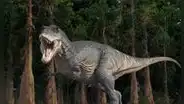 Científicos creían que los dinosaurios estaban en declive cuando cayó el meteorito, pero en realidad prosperaban en ecosistemas florecientes