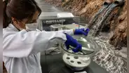 Estudiante peruana logra convertir restos de algodón y palta en ‘esponjas inteligentes’ para descontaminar aguas con plomo: eliminan hasta el 99% del metal pesado