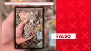 Es falso que este video muestre el hallazgo de dinero “entre los escombros de una vivienda colapsada por los terremotos de Venezuela”