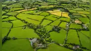 El hallazgo arqueológico de la Edad del Bronce que reescribe el origen urbano de Europa: surgió en Irlanda hace más de 3.000 años