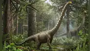 Paleontólogos identifican una nueva especie de dinosaurio gigante gracias a un pequeño hueso