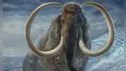 Científicos pensaron que eran huesos de mamut y los guardaron durante 70 años, pero resultaron ser de un animal muy diferente
