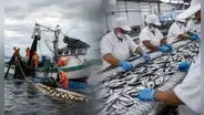 PBI peruano desacelera a 1,8% en mayo tras desplome de la pesca y caída de la manufactura