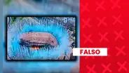 Es falso que el video de los fuegos artificiales en la celebración de España por el Mundial muestre los colores de Argentina