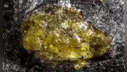 China descubre el ámbar más antiguo del mundo: 385 millones de años del periodo Devónico