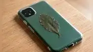¿Tienes una hoja de laurel en casa? Descubre por qué muchas personas la guardan en la funda del celular
