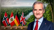 Noruega y la histórica alianza que renovó con 3 países, incluido Perú, para frenar la deforestación de la Amazonía al 2030