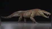 Esta bestia prehistórica tenía más de 50 dientes y podía cazar dinosaurios: vivió en este país de América Latina y científicos descubren cómo era este temible cazador