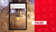 Es falso que el video de centenares de militares en Lima corresponda al actual despliegue contra la criminalidad