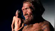 Científicos afirman que el gen neandertal aún moldea los músculos y las mandíbulas en los humanos modernos