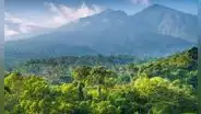 El megaproyecto urbano que cambiará la estructura de un país: se levanta en plena selva, costará US$33.000 millones y beneficiará a 1,9 millones