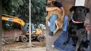 Denuncian demolición de refugio para perros abandonados en la Universidad Nacional Agraria La Molina