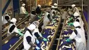PBI creció 3,05% hasta junio, pero pesca y manufactura retrocedieron