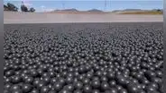 Gastaron 34 millones de dólares en 96 millones de bolas negras para proteger un depósito de agua y ahora deben retirarlas