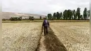 El Niño 2026-2027: sequía en la sierra podría alcanzar niveles similares a los de 1982-83