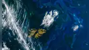 La NASA afirma que El Niño está alterando la vida marina: detectan disminución del fitoplancton en el Pacífico