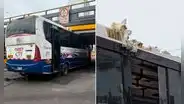 Bus de la empresa CTI queda atrapado bajo puente de avenida Brasil: desinflaron las llantas para liberar el vehículo