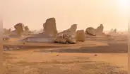 Un desierto de tiburones fue descubierto en el desierto de Egipto con 7 especies diferentes