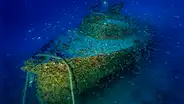 Tras 13 años de búsqueda, hallan a 96 metros bajo el mar un buque alemán clave de la Segunda Guerra Mundial: su estado de conservación es excepcional