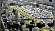 OCDE propone eliminar beneficio tributario de grandes agroexportadoras: pagan 15% de IR pese a su fuerte crecimiento