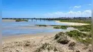 Oleajes de hasta dos metros golpean Pisco: afectan humedales, muelle y estructuras del borde costero