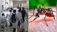 Dengue en Perú: Minsa reporta 4.000 contagios en Lima y lanza advertencia por impacto del fenómeno de El Niño