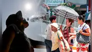 Temperaturas de hasta 38 °C azotarán la selva norte del 3 al 5 de setiembre, según Senamhi