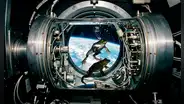 En 1970, la NASA puso en órbita 2 ranas toro para monitorear el mareo espacial: durante 6 días registraron 139 horas de información sobre el equilibrio en gravedad cero