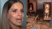 Alejandra Baigorria marca distancia de albergue en Chaclacayo tras denuncia por abandono: "No tengo obligación de ayudar a todos"