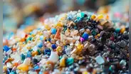 Los microplásticos ya llegaron a tu mesa: descubre los 5 alimentos que más consumes y que podrían estar contaminados