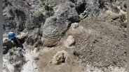 Un rastro de pisadas de hace 66,5 millones de años revela las primeras huellas de un T. rex adulto caminando