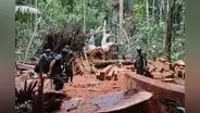 Mataron a 37 líderes amazónicos y otros 43 están bajo amenaza