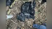 Este es el fusil R-15 empleado en el cuádruple asesinato de Trujillo
