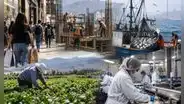 Economía peruana creció 3,56% en julio, pero pesca, agro e industria frenaron un mayor avance