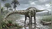 Paleontólogos españoles identifican el primer diplodocus de Europa: habría llegado a través de puente terrestre desde norteamérica