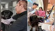 ¿Tienes mascotas? Municipalidad de Lima ofrecerá consultas y desparasitación gratis este 22 de septiembre: conoce lugar y hora de la campaña gratuita