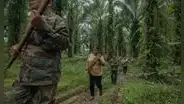 Coca creció más de 600% en Ucayali y territorios indígenas peligran: 6 líderes kakataibo asesinados desde 2020
