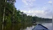 ¿Tienes entre 20 y 30 años? Gana una experiencia en la Reserva Nacional de Tambopata con un video