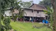 Se fueron de la ciudad hace 30 años y construyeron una vida en la Amazonía: cultivan sus alimentos y crían animales para sostener a su familia
