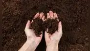 Mancharte las manos con tierra podría ser bueno para tu salud: los científicos descubrieron cómo influye en la piel