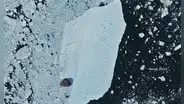 Un iceberg de más de 76 km², el más grande visto desde 2020, se desprendió de Groenlandia y estrelló contra una isla sin romperse