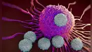 Científicos logran desaparecer el cáncer metastásico de un niño de 3 años tras dos dosis de terapia experimental