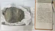 Un fósil encontrado en 1985 en la Antártida fue catalogado como un reptil marino; científicos vuelven a examinarlo y descubren que era de un titanosaurio de 6 metros