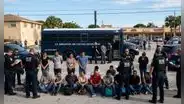 Alerta máxima para inmigrantes legales e indocumentados | Agencias federales ayudan al ICE para arrestar a más de 500 personas en EE.UU.