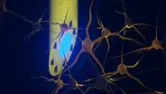 Científicos crean un implante cerebral multifuncional y del grosor de una aguja capaz de realizar 3 funciones a la vez