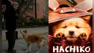 ¡Para volver a llorar! Clásico perruno ‘Hachiko’ regresa a los cines peruanos este 8 de octubre, 15 años después de su estreno