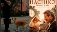 ¡Para volver a llorar! Clásico perruno ‘Hachiko’ regresa a los cines peruanos este 8 de octubre, 15 años después de su estreno
