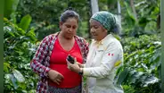 Productores de café, cacao y palma listos para exportar a Europa con “cero deforestación”
