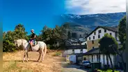 Buscan 2 voluntarios para vivir gratis en un pueblo de España sin requisito de idioma: cuidarían un jardín durante 3 horas al día