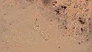 Un posible geoglifo detectado con Google Earth en los Andes intriga a arqueólogos: podría ser un centro ceremonial preincaico
